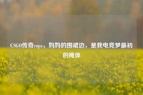 CSGO传奇ropz，妈妈的围裙边，是我电竞梦最初的掩体