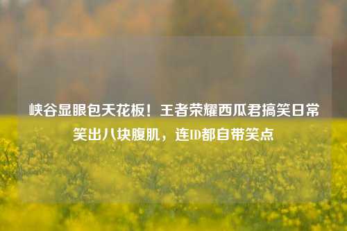 峡谷显眼包天花板！王者荣耀西瓜君搞笑日常笑出八块腹肌，连ID都自带笑点