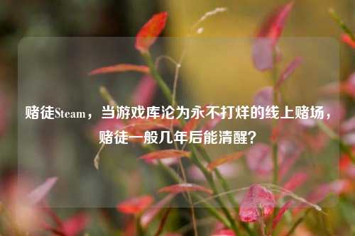 赌徒Steam,当游戏库沦为永不打烊的线上赌场,赌徒一般几年后能清醒?