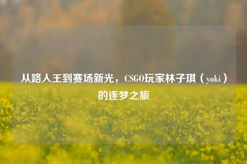 从路人王到赛场新光,CSGO玩家林子琪(yoki)的逐梦之旅