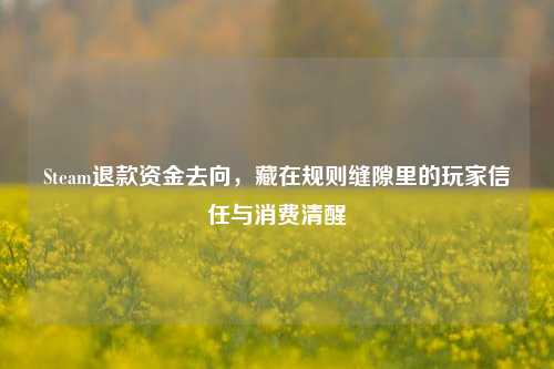 Steam退款资金去向,藏在规则缝隙里的玩家信任与消费清醒
