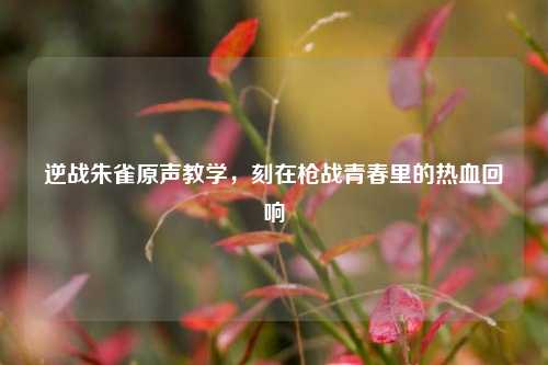 逆战朱雀原声教学，刻在枪战青春里的热血回响