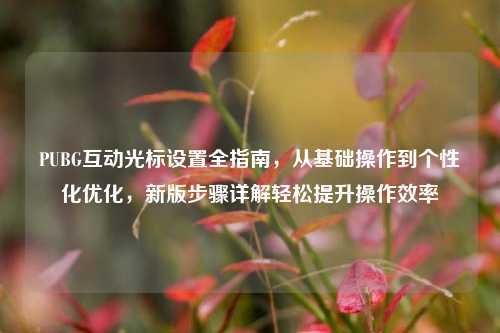 PUBG互动光标设置全指南,从基础操作到个性化优化,新版步骤详解轻松提升操作效率