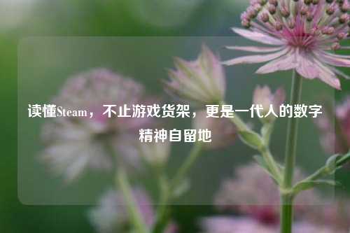 读懂Steam，不止游戏货架，更是一代人的数字精神自留地
