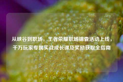 从峡谷到职场,王者荣耀职场锦囊活动上线,千万玩家专属实战成长课及奖励获取全指南