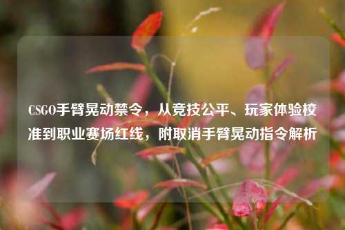 CSGO手臂晃动禁令,从竞技公平、玩家体验校准到职业赛场红线,附取消手臂晃动指令解析