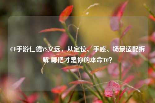 CF手游仁德VS文远,从定位、手感、场景适配拆解 哪把才是你的本命T0?