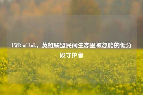 LWB of LoL，英雄联盟民间生态里被忽略的低分段守护者
