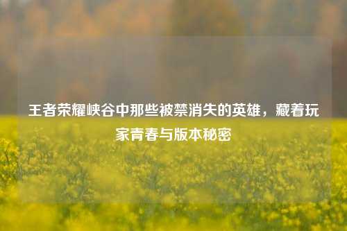 王者荣耀峡谷中那些被禁消失的英雄,藏着玩家青春与版本秘密