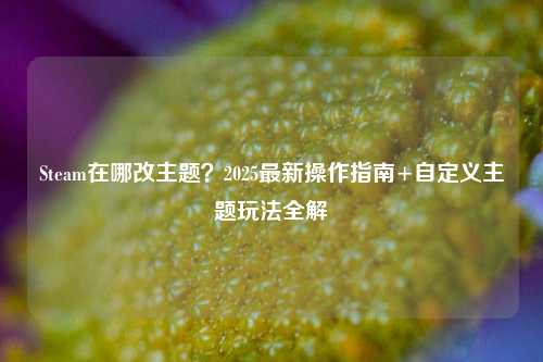Steam在哪改主题?2025最新操作指南+自定义主题玩法全解
