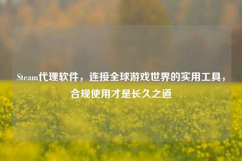Steam代理软件,连接全球游戏世界的实用工具,合规使用才是长久之道
