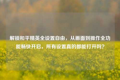 解锁和平精英全设置自由，从画面到操作全功能畅快开启，所有设置真的都能打开吗？