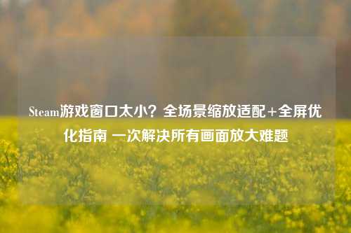 Steam游戏窗口太小?全场景缩放适配+全屏优化指南 一次解决所有画面放大难题