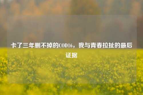 卡了三年删不掉的COD16,我与青春拉扯的最后证据