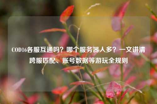 COD16各服互通吗？哪个服务器人多？一文讲清跨服匹配、账号数据等游玩全规则