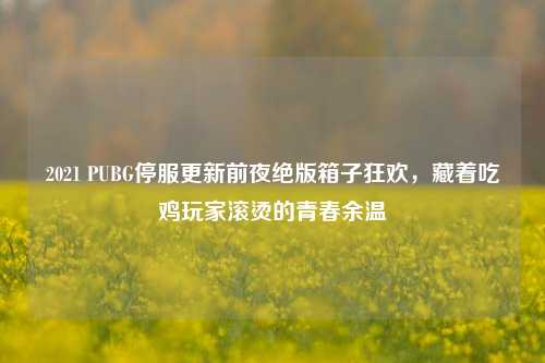 2021 PUBG停服更新前夜绝版箱子狂欢,藏着吃鸡玩家滚烫的青春余温