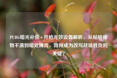 PUBG暗光补偿+开枪光效设置解析,从贴脸视物不清到暗处博弈,如何成为改写战场胜负的关键?