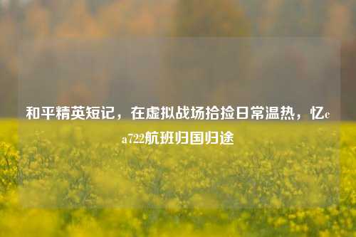 和平精英短记，在虚拟战场拾捡日常温热，忆ca722航班归国归途