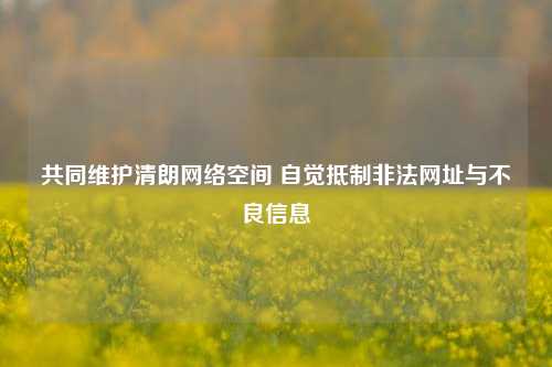 共同维护清朗网络空间 自觉抵制非法网址与不良信息
