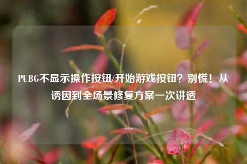 PUBG不显示操作按钮/开始游戏按钮?别慌!从诱因到全场景修复方案一次讲透