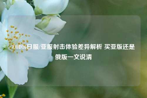 COD16日服/亚服射击体验差异解析 买亚版还是俄版一文说清