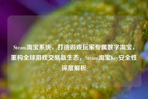 Steam淘宝系统,打造游戏玩家专属数字淘宝,重构全球游戏交易新生态,Steam淘宝Key安全性深度解析