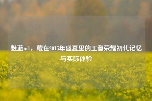 魅蓝m1,藏在2015年盛夏里的王者荣耀初代记忆与实际体验