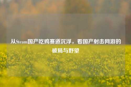 从Steam国产吃鸡赛道沉浮，看国产射击网游的破局与野望