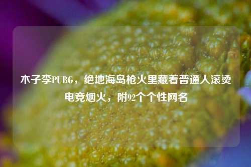 木子李PUBG,绝地海岛枪火里藏着普通人滚烫电竞烟火,附92个个性网名
