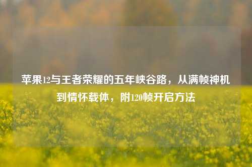 苹果12与王者荣耀的五年峡谷路，从满帧神机到情怀载体，附120帧开启方法