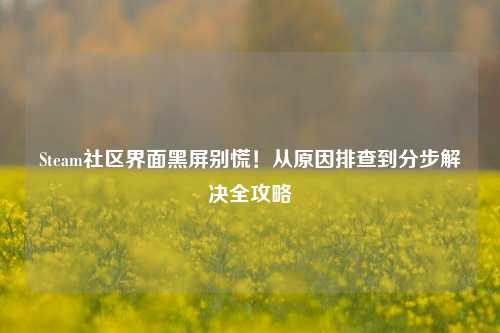 Steam社区界面黑屏别慌!从原因排查到分步解决全攻略