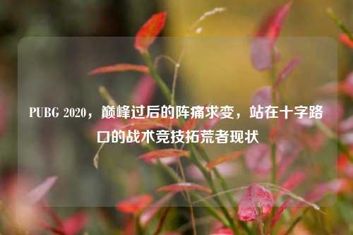 PUBG 2020，巅峰过后的阵痛求变，站在十字路口的战术竞技拓荒者现状