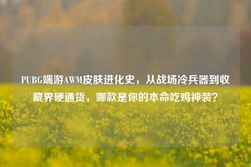 PUBG端游AWM皮肤进化史，从战场冷兵器到收藏界硬通货，哪款是你的本命吃鸡神装？
