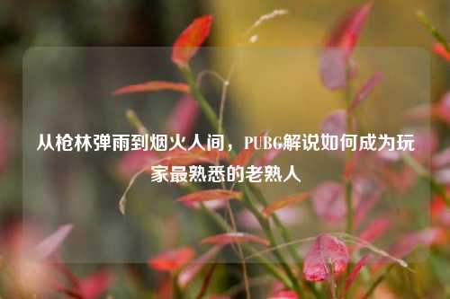 从枪林弹雨到烟火人间,PUBG解说如何成为玩家最熟悉的老熟人