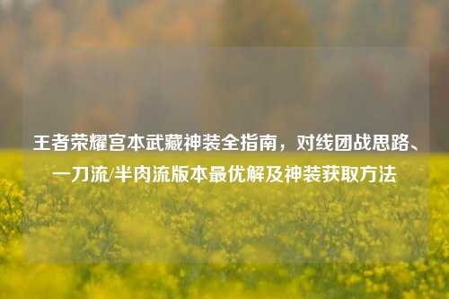王者荣耀宫本武藏神装全指南,对线团战思路、一刀流/半肉流版本最优解及神装获取方法
