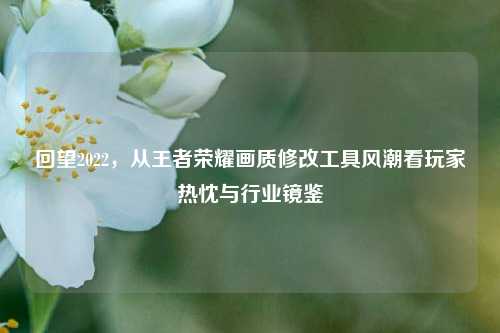 回望2022,从王者荣耀画质修改工具风潮看玩家热忱与行业镜鉴