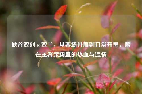 峡谷双刘×双兰,从赛场并肩到日常开黑,藏在王者荣耀里的热血与温情