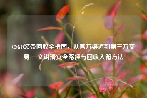 CSGO装备回收全指南,从官方渠道到第三方交易 一文讲清安全路径与回收入箱方法
