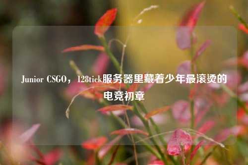 Junior CSGO,128tick服务器里藏着少年最滚烫的电竞初章
