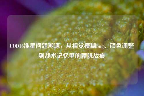 COD16准星问题溯源,从视觉模糊bug、颜色调整到战术记忆里的朦胧战痕