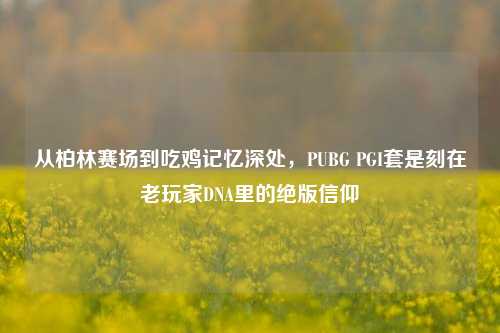 从柏林赛场到吃鸡记忆深处,PUBG PGI套是刻在老玩家DNA里的绝版信仰