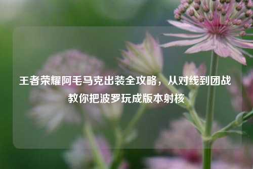 王者荣耀阿毛马克出装全攻略,从对线到团战 教你把波罗玩成版本射核