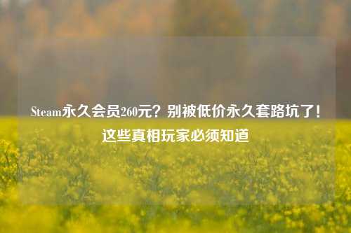 Steam永久会员260元?别被低价永久套路坑了!这些真相玩家必须知道