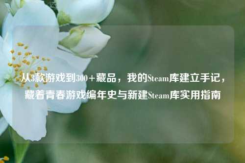 从3款游戏到300+藏品，我的Steam库建立手记，藏着青春游戏编年史与新建Steam库实用指南