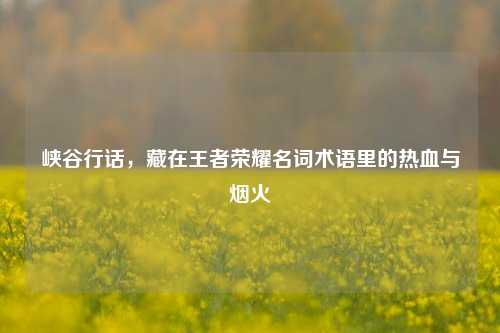 峡谷行话,藏在王者荣耀名词术语里的热血与烟火