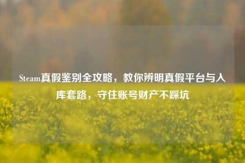 Steam真假鉴别全攻略,教你辨明真假平台与入库套路,守住账号财产不踩坑