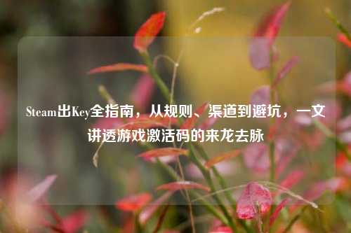 Steam出Key全指南,从规则、渠道到避坑,一文讲透游戏激活码的来龙去脉