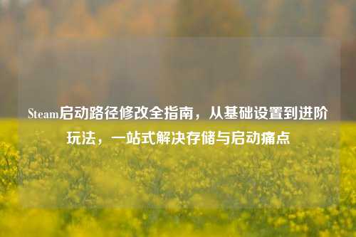 Steam启动路径修改全指南,从基础设置到进阶玩法,一站式解决存储与启动痛点