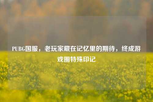 PUBG国服,老玩家藏在记忆里的期待,终成游戏圈特殊印记