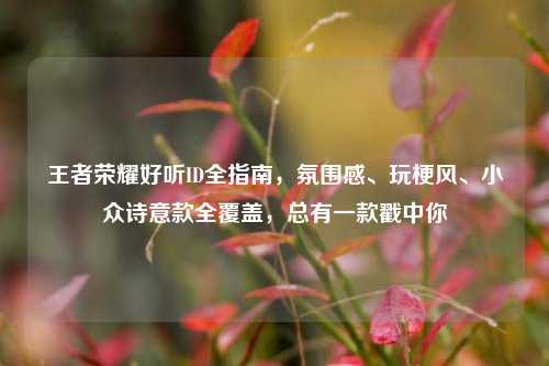 王者荣耀好听ID全指南,氛围感、玩梗风、小众诗意款全覆盖,总有一款戳中你